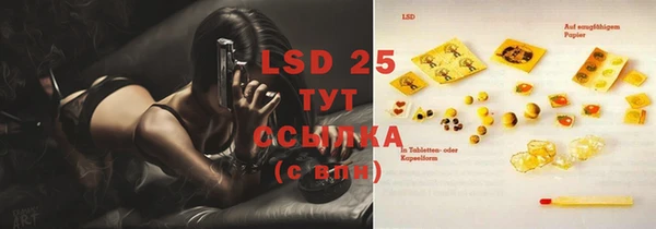 PSILOCYBIN Абаза