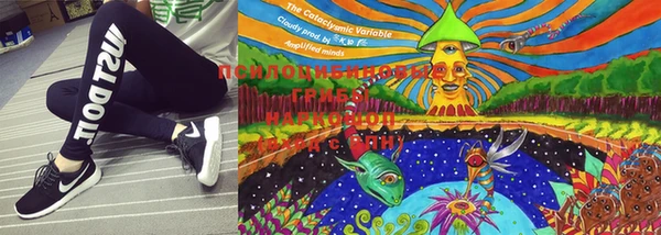 PSILOCYBIN Абаза