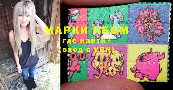индика Абинск