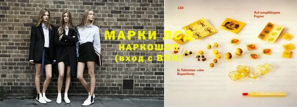 индика Абинск